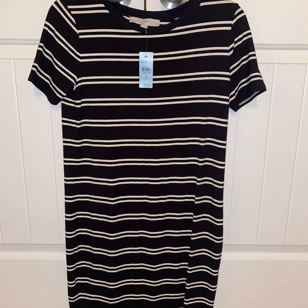 Loft women’s dress - brand new with tags still on